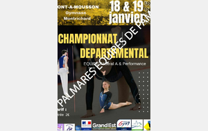 Palmares + Photos Compétition GAM-GAF 54 Eq Perfs + Fed A - PAM les 18 & 19.01.2025