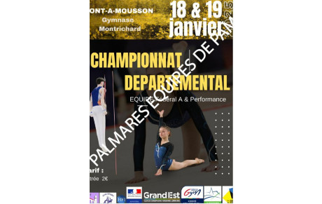 Palmares + Photos Compétition GAM-GAF 54 Eq Perfs + Fed A - PAM les 18 &amp; 19.01.2025